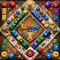 How to play ludo